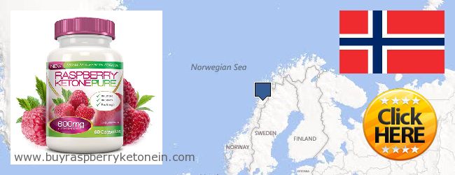 Gdzie kupić Raspberry Ketone w Internecie Norway